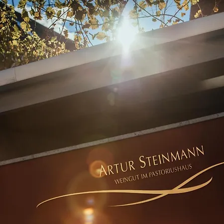 Weingut Pastoriushaus - Artur Steinmann-2